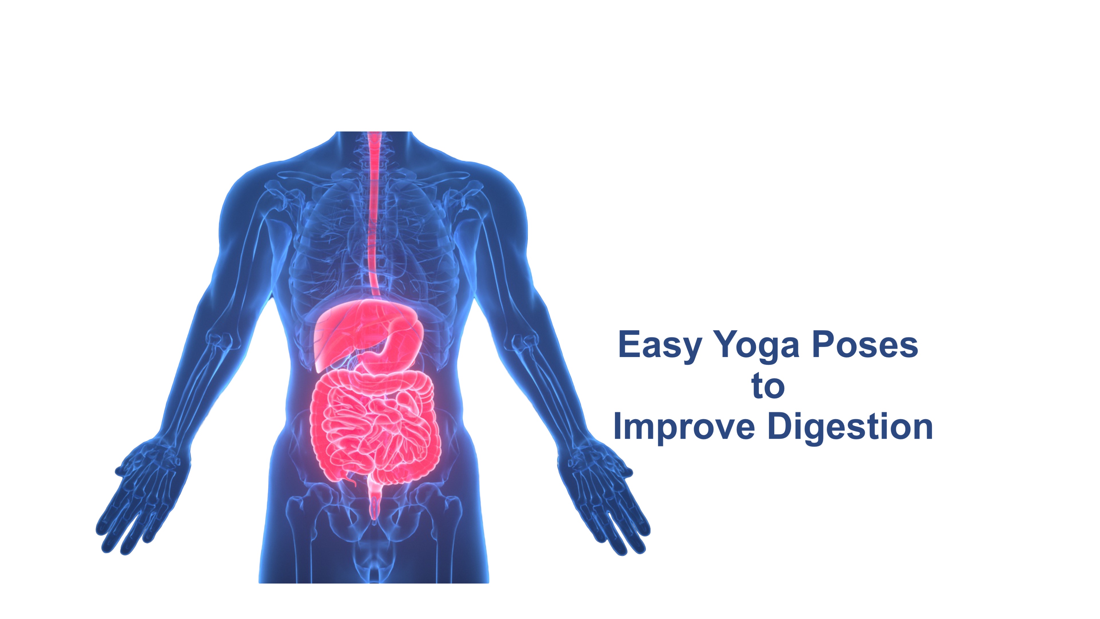 International Yoga Day 2023: Perform These Asanas Post-Dinner For Better  Digestion